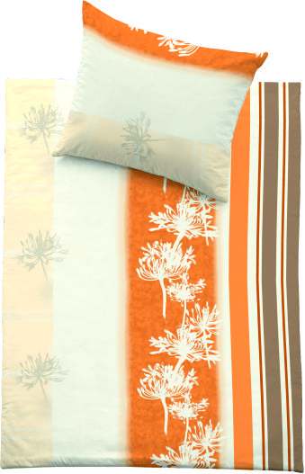 0017 beige_orange Pusteblume